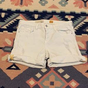 Pilcro Stet Shorts